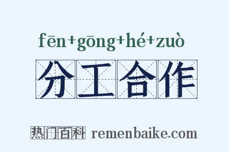 分工合作是什么意思的图片